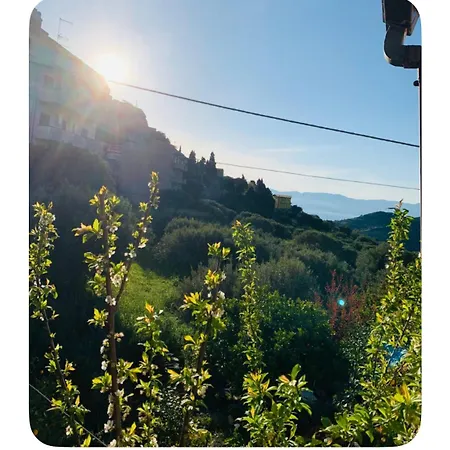 Appartamento Tra Gli Ulivi - Reggio Calabria-motta San Giovanni Motta San Giovanni